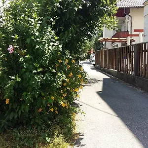 Sunflower Guest house